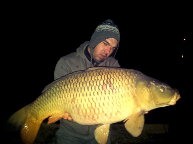 Hermes Peris 21 - 22 mar. - bau-bau1.jpg